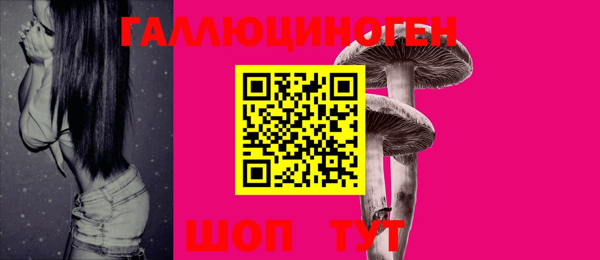 Благодарный  Галлюциногенные грибы MAGIC MUSHROOMS  что такое   Вход с VPN  Галлюциногенные грибы MAGIC MUSHROOMS 